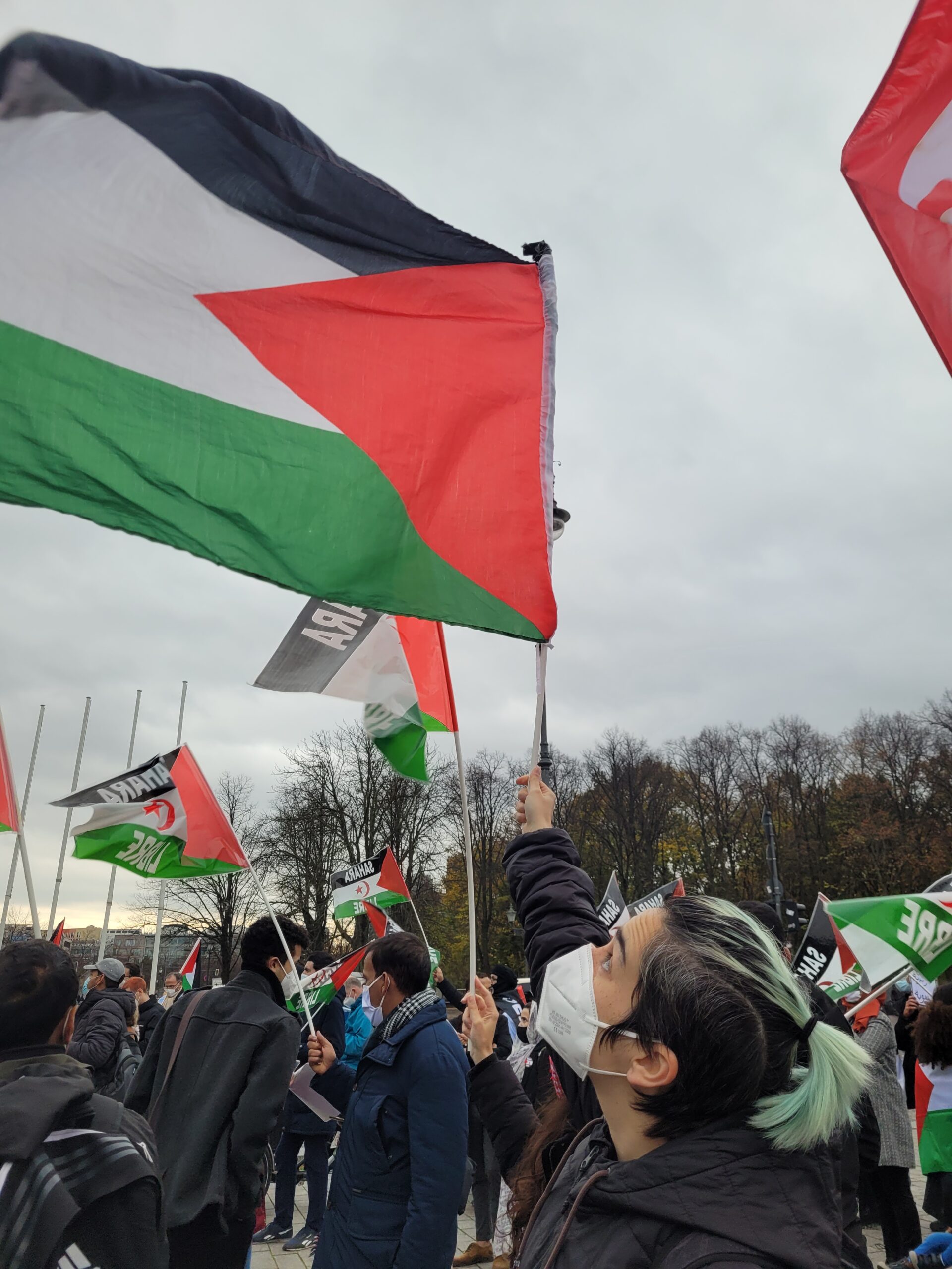 Why Demonstrate in Berlin for Western Sahara? – The Left Berlin