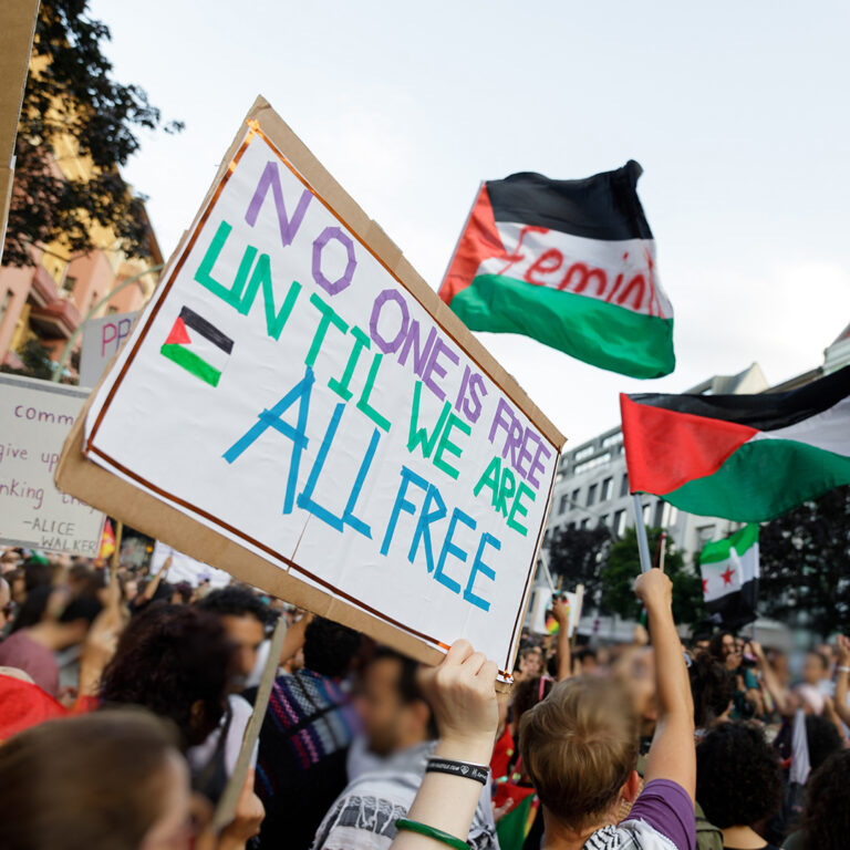 Hands in a crowd hold up Palestinian flags and a sign saying "No one is free until we are all free."