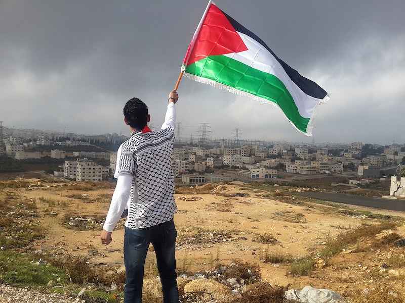 A person waving a Palestinian flag.