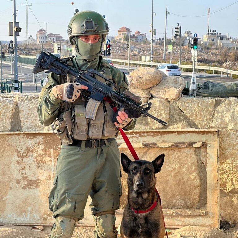 Elkana Federman