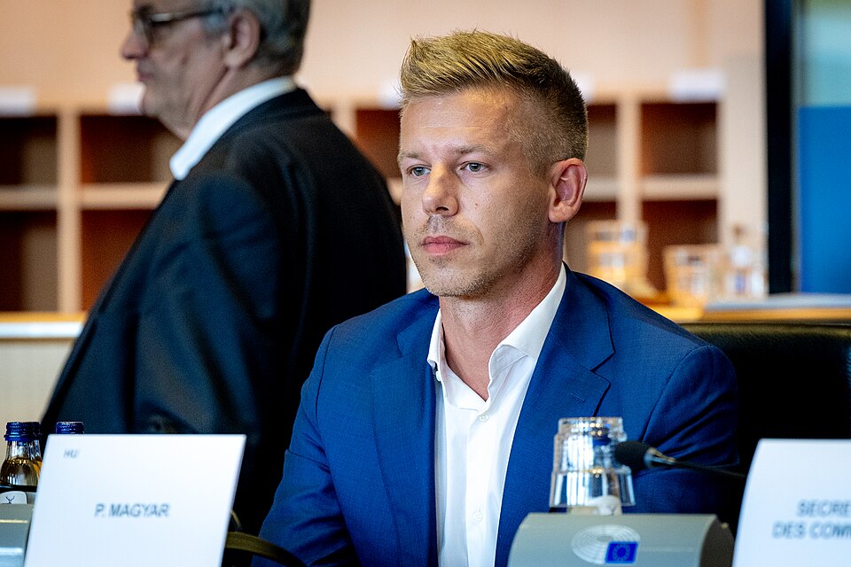 AFCO Committee constitutive meeting